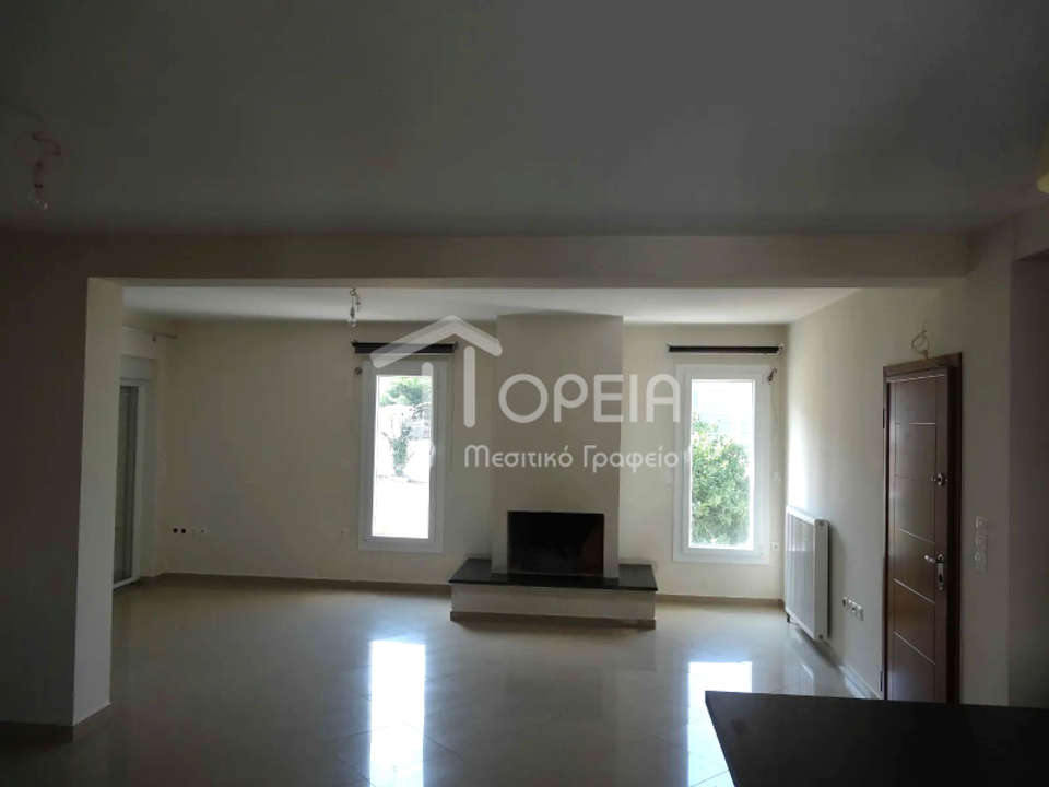 Image 1 of 17