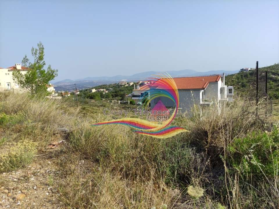 Image 0 of 1