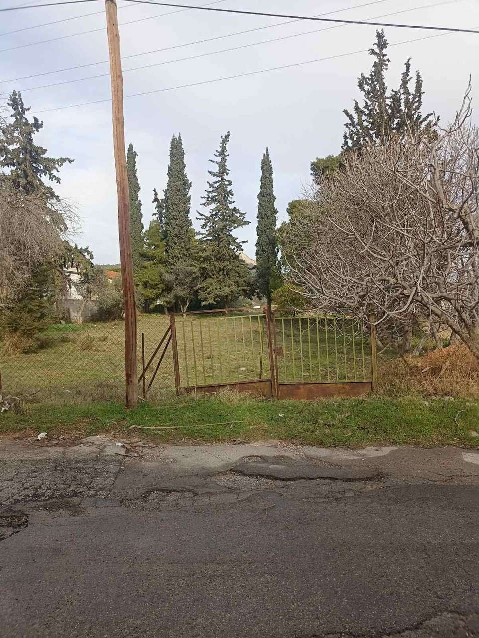 Image 1 of 7
