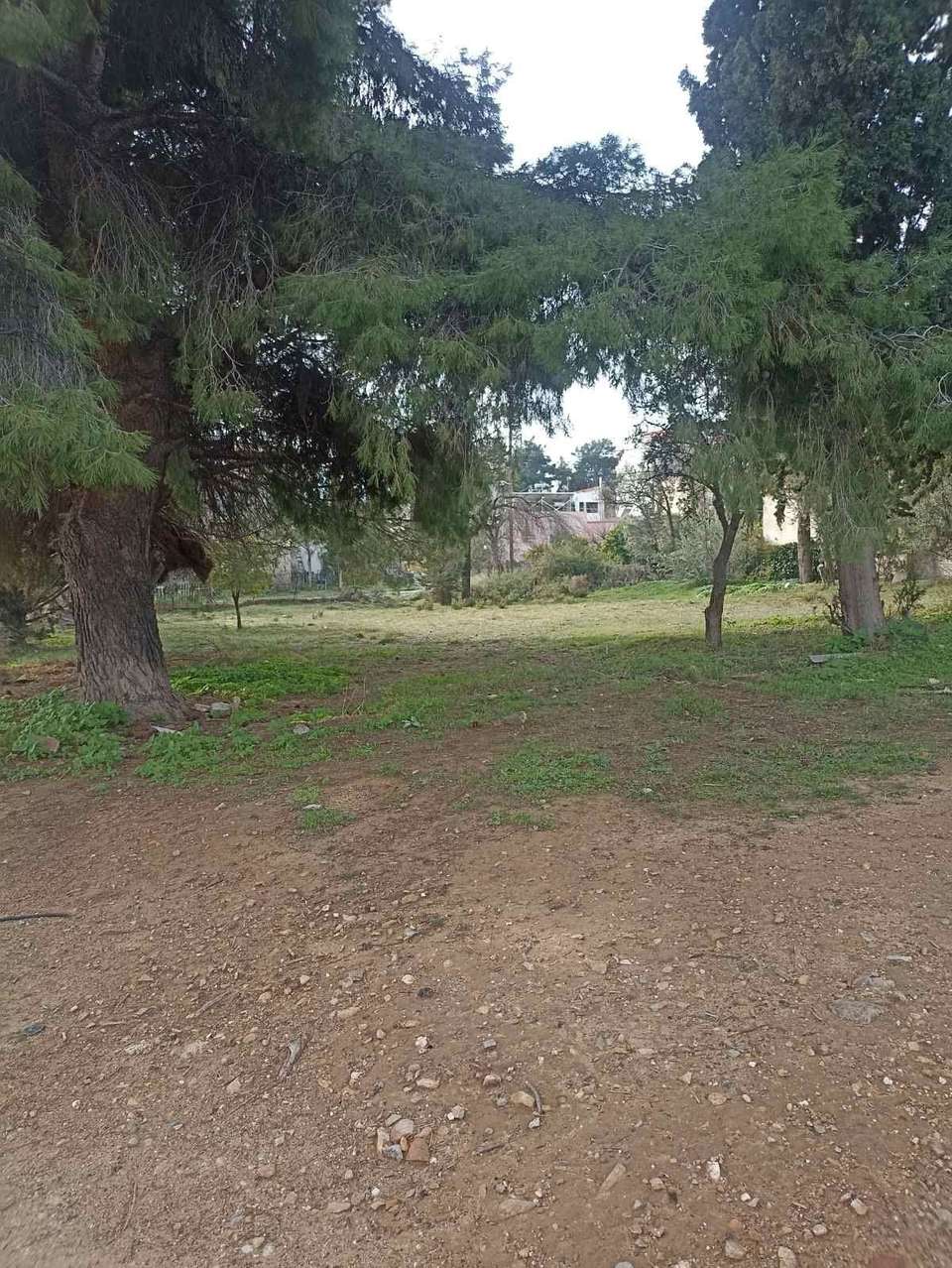 Image 0 of 7