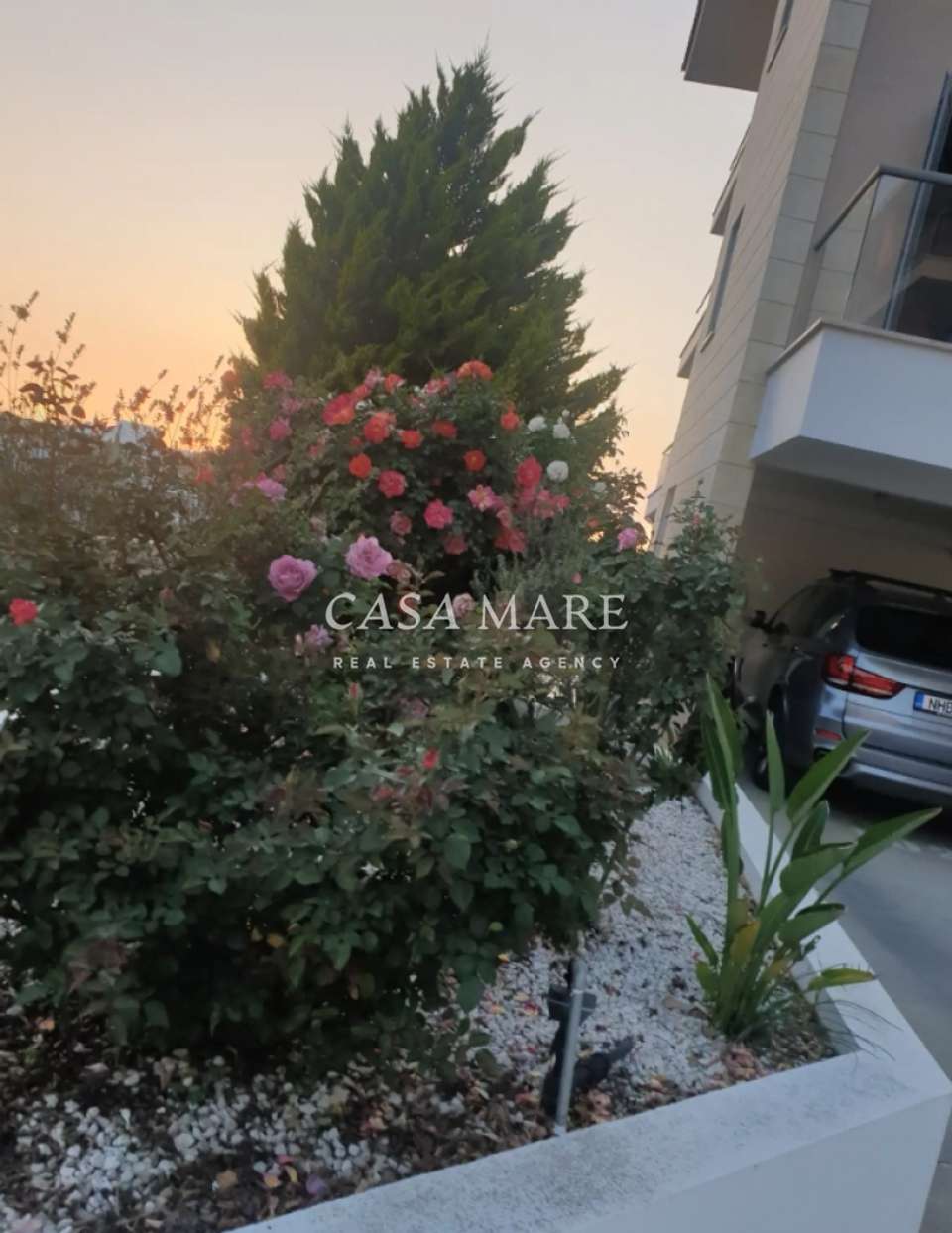 Image 1 of 15