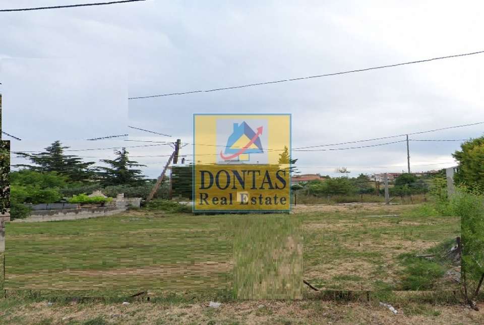 Image 0 of 1