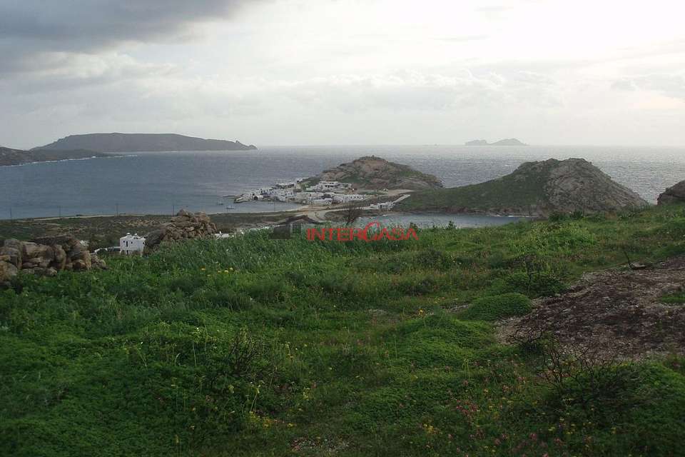 Image 1 of 7
