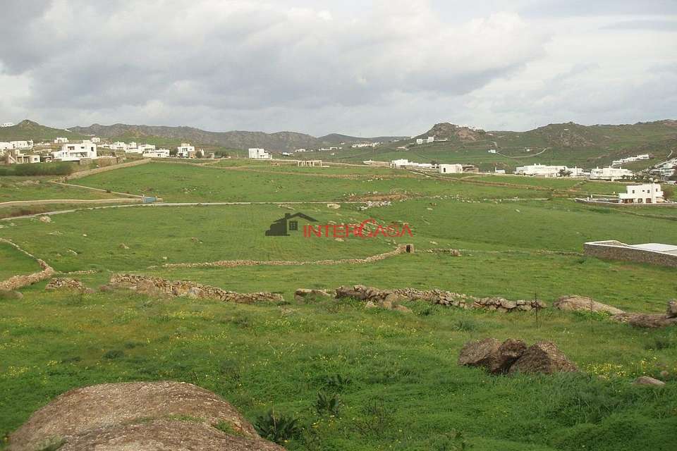 Image 2 of 7