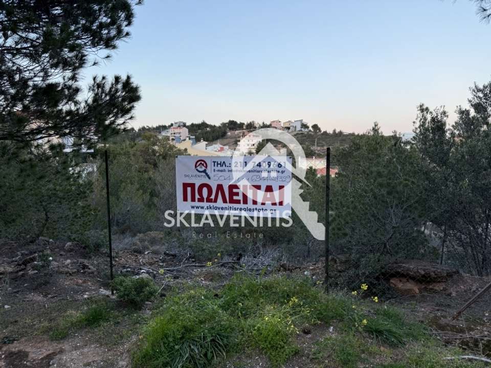 Image 1 of 12