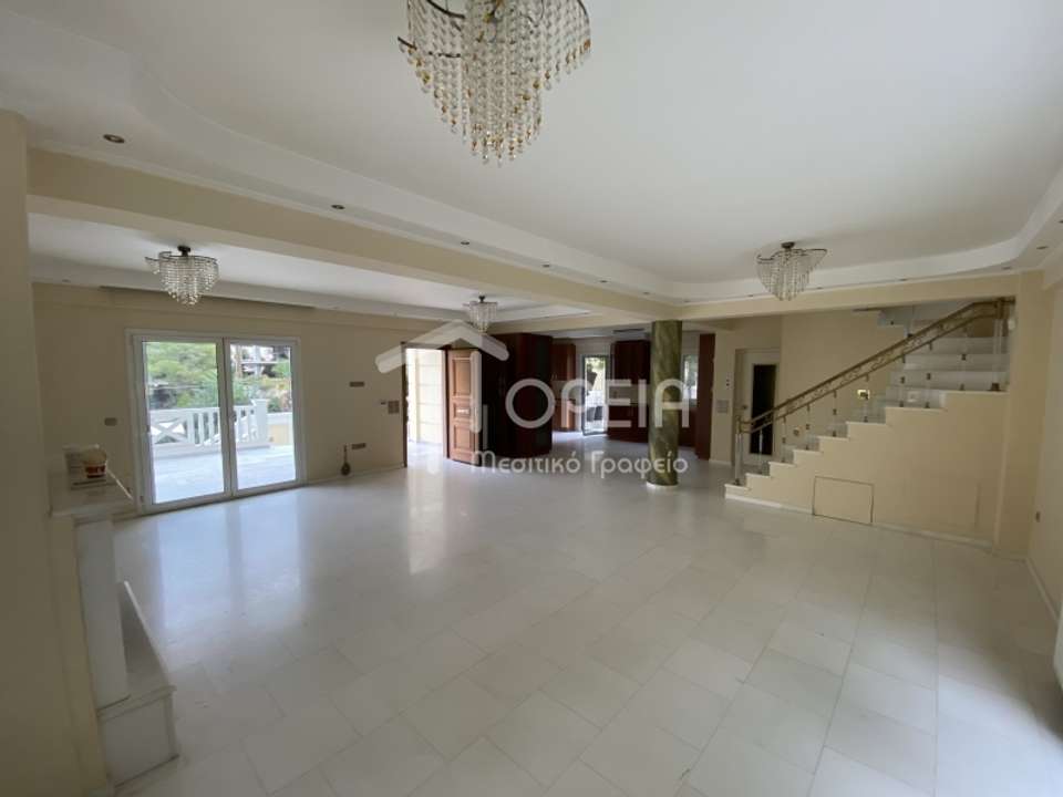 Image 1 of 51