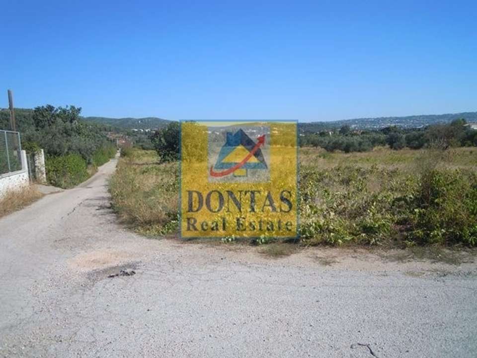Image 0 of 14