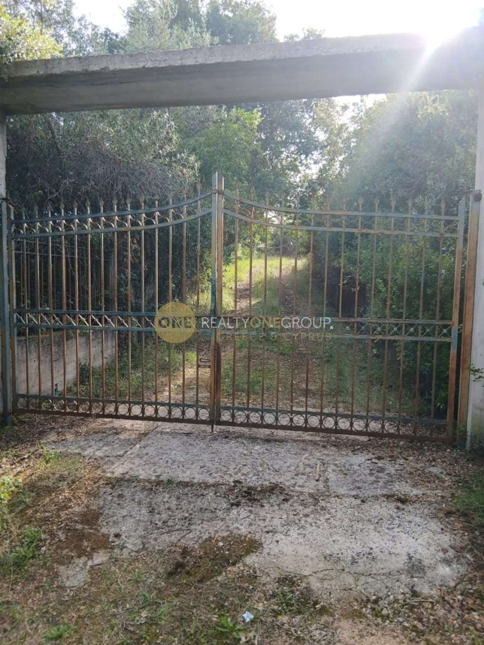 Image 1 of 12