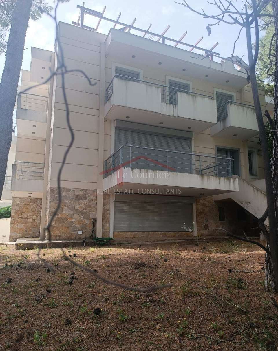 Image 1 of 15