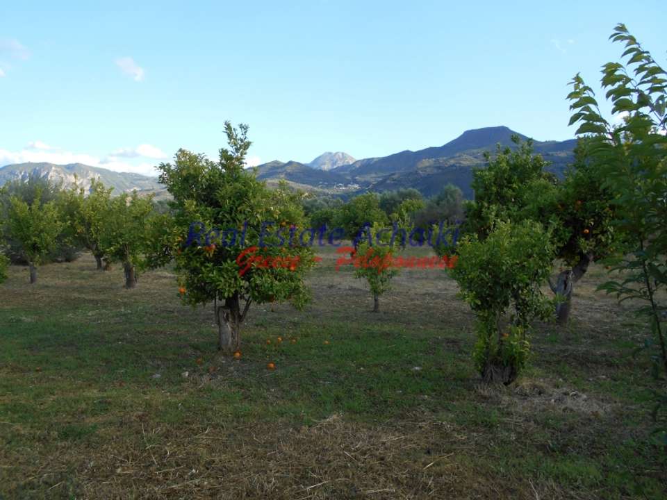 Image 1 of 9