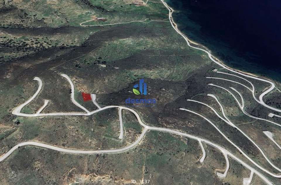 Image 2 of 3