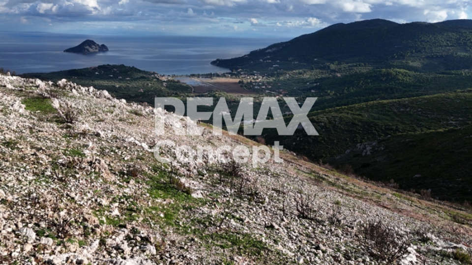 Image 0 of 8