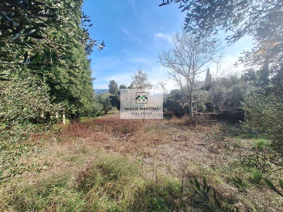 Image 2 of 17