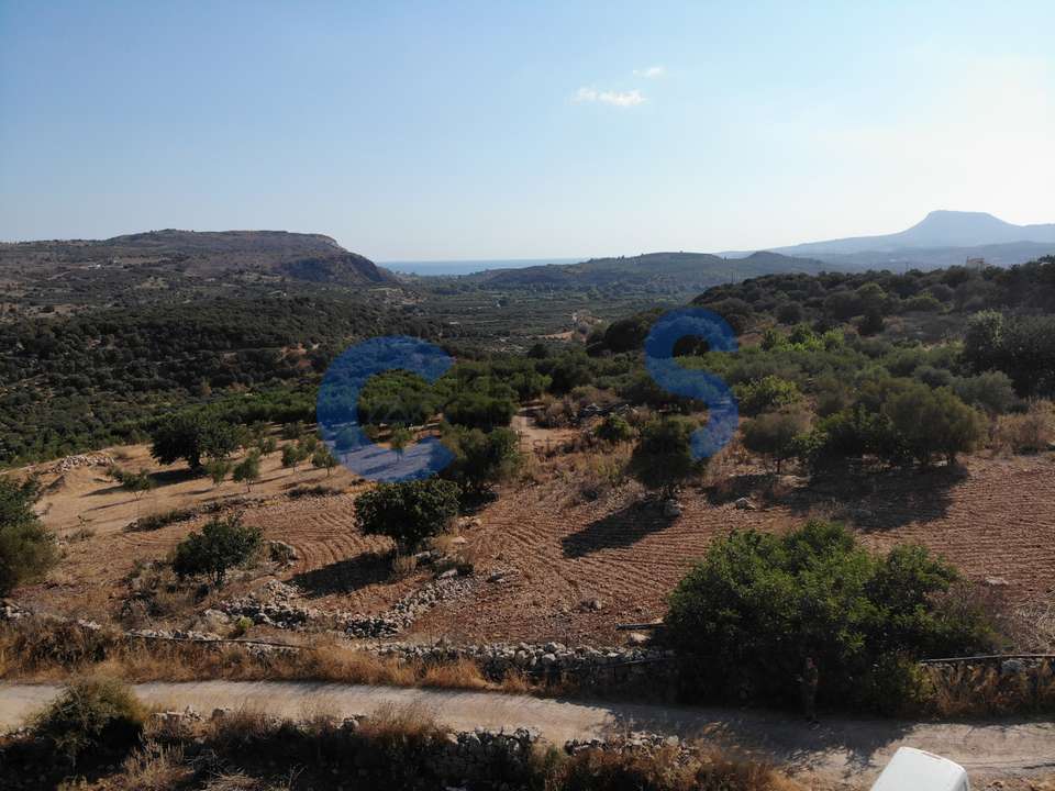 Image 1 of 23