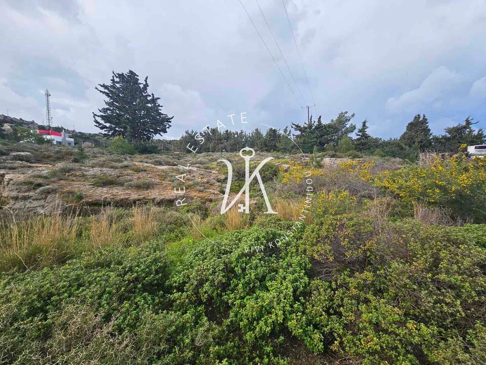 Image 1 of 25