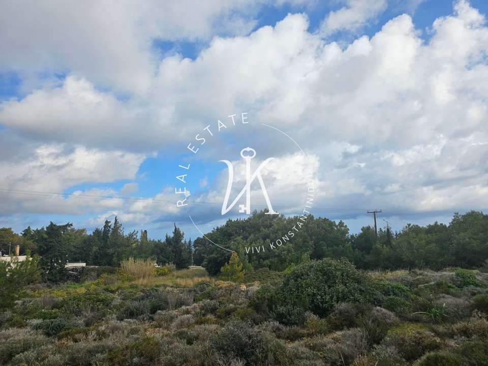 Image 1 of 25