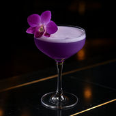 Black Orchid image