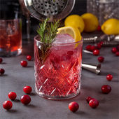 Cranberry Whiskey Sour image
