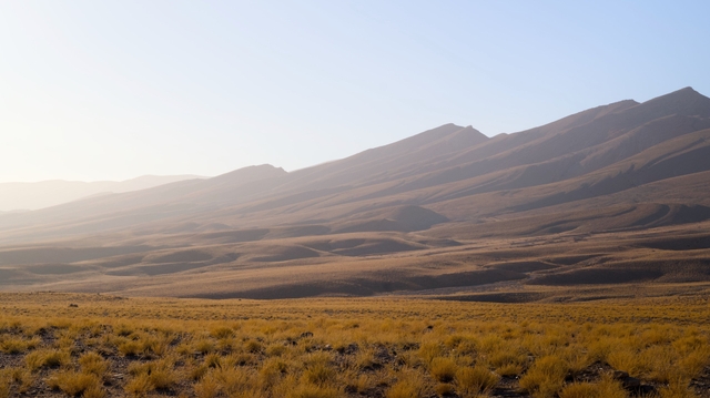 Golden light falls across a grassy plain below mountains
