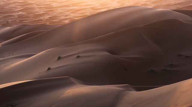 Layered sand dunes catch the last light of the day