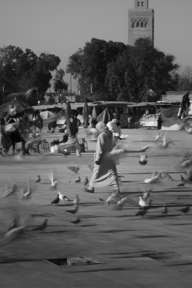 Pigeons scatter across a square as a woman walks past