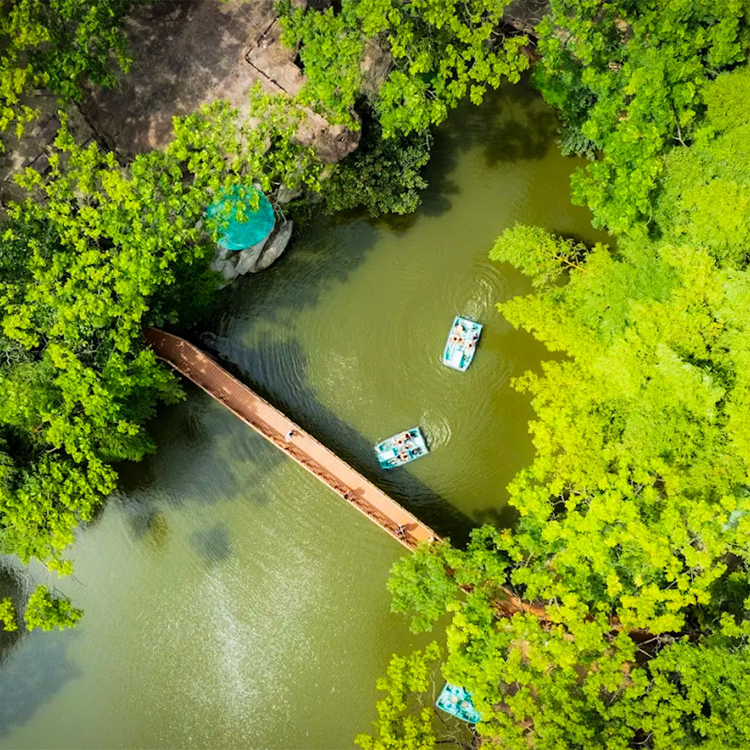 RD's Nature Retreat