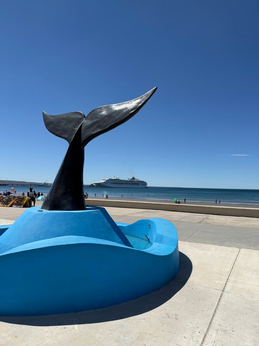 Puerto Madryn 自由行