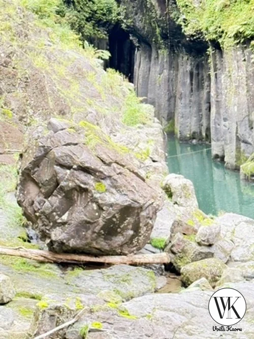 DECC2AE3 AC75 4AF7 BF81 3DD8135AEA5A 4 5005 c