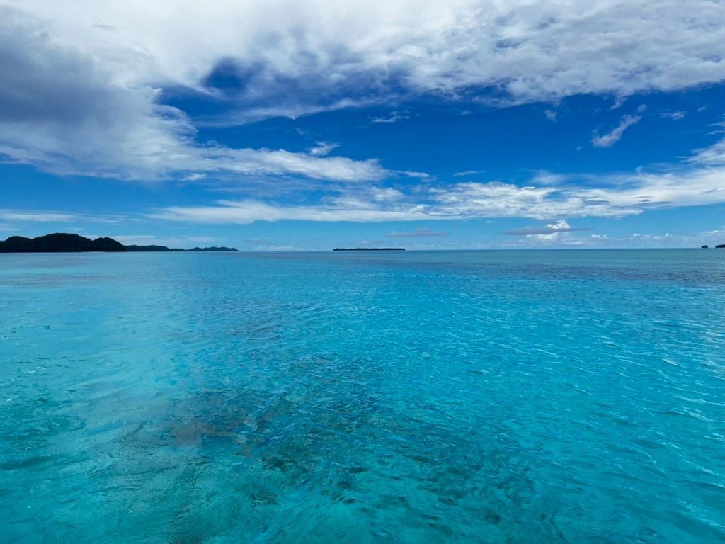 0B02F62C CAF7 4734 86A5 6CD510A2875A 1 105 c