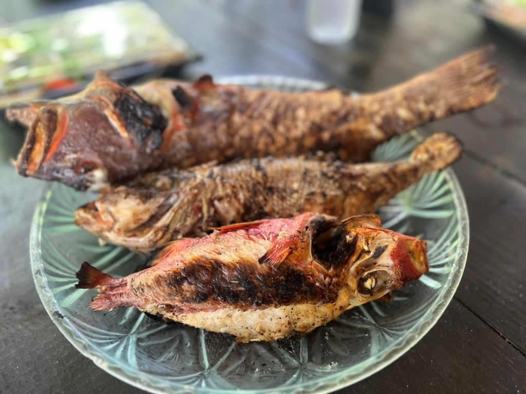 0DC0F755 AE1A 41A3 BE3A 3988B41C058D 1 105 c