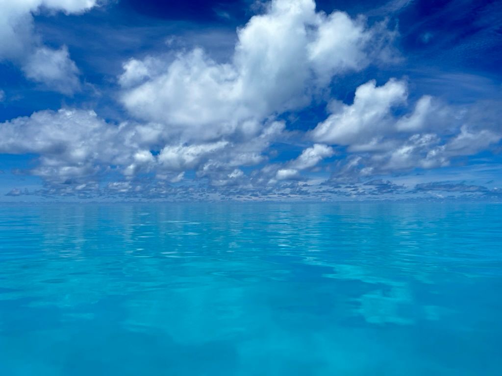 3039FB5E 8AA3 40BE A5FB 79BE4A637FBE 1 105 c