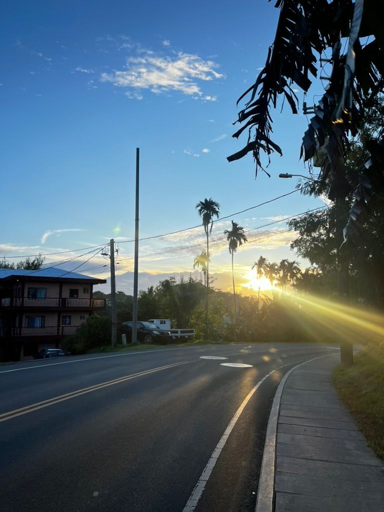 帛琉行程推薦|Day2 Rock Island 浮潛+牛奶湖+鯊魚驚喜一日遊 8 8F1121C7 4E7D 4287 A7E7 9596305C86CA 1 105 c