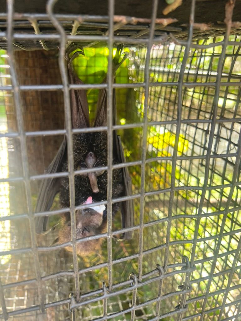 8FC630AD 2380 4BEE 82B6 45A26713DC0D 1 105 c