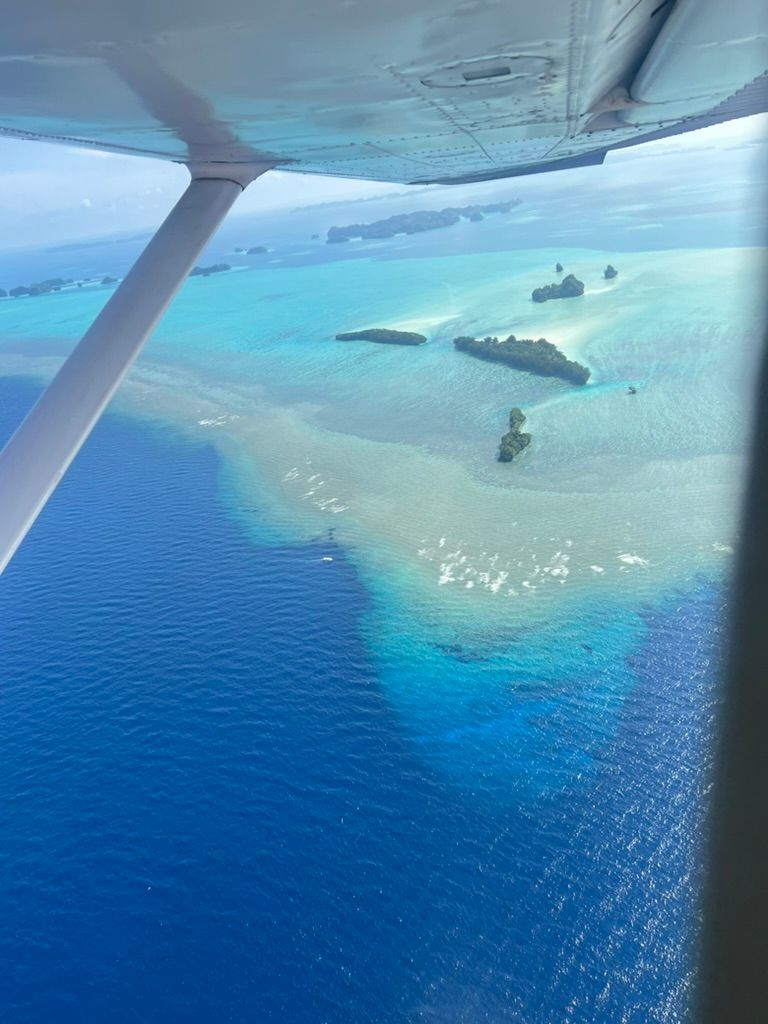 9561A48B 2279 498F A2B0 02B35E41E37C 1 105 c