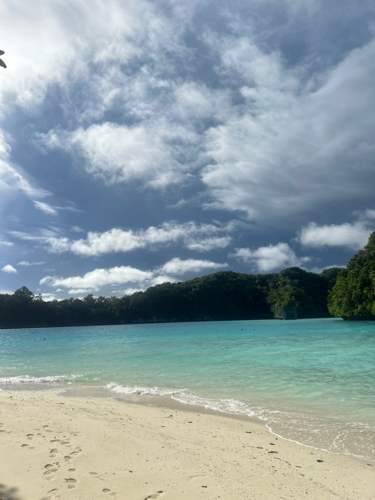 B6CC2A2B 6022 4874 9853 6D30D8BA3FB2 1 105 c