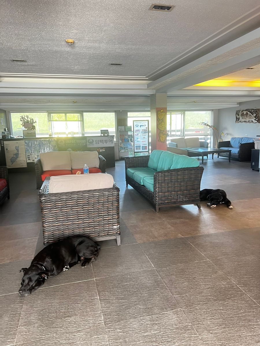 帛琉行程推薦|Day2 Rock Island 浮潛+牛奶湖+鯊魚驚喜一日遊 7 CDBAE1A2 D819 4D30 AF2A A78D0F587546 1 102 o