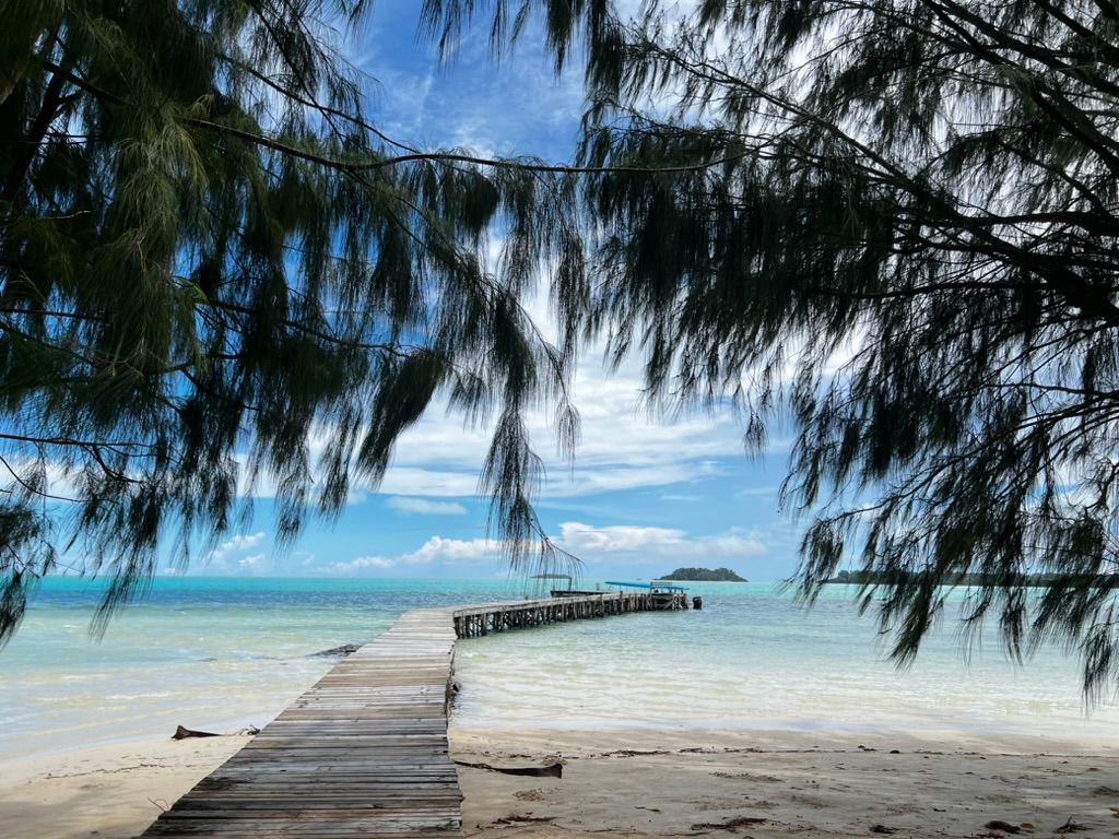 F096BBA5 C567 4E0A A35E 8F573B96CEB7 1 105 c