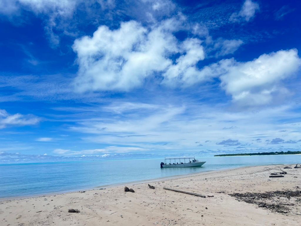 FB885DED 306C 4D85 BB9E D7B21F33C5DB 1 105 c