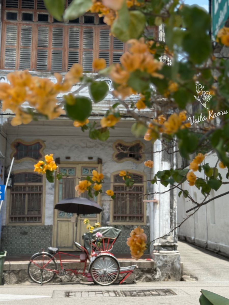 檳城旅行心得:一場不驚艷但真實的馬來西亞小島初體驗 12 IMG 1748