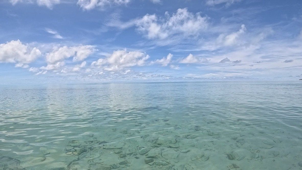 帛琉自由行 Day4｜帛琉北島行程-浮潛手釣＋無人島 BBQ 全紀錄