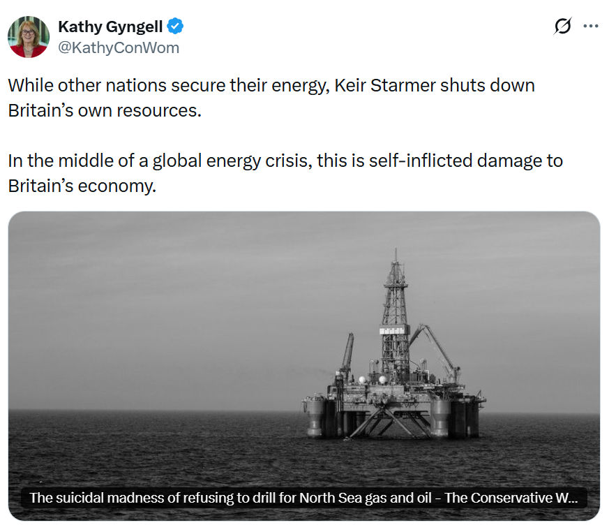 Kathy Gyngell: While other nations secure their energy…