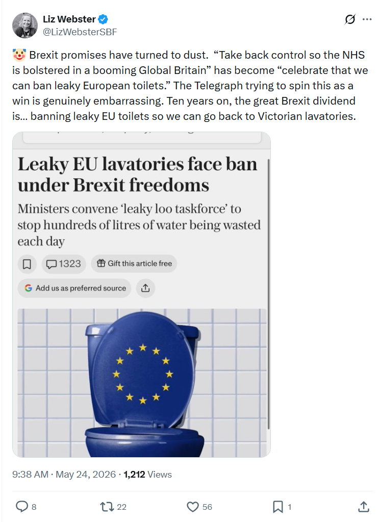 Liz Webster: Brexit promises have turned to dust…