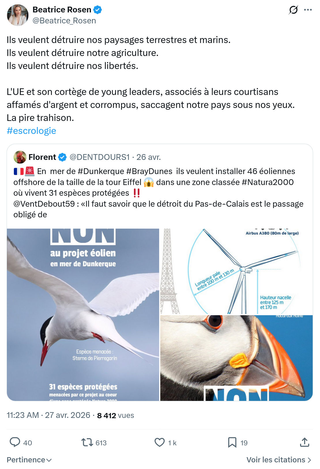Béatrice Rosen: Ils veulent détruire nos paysages terrestres…