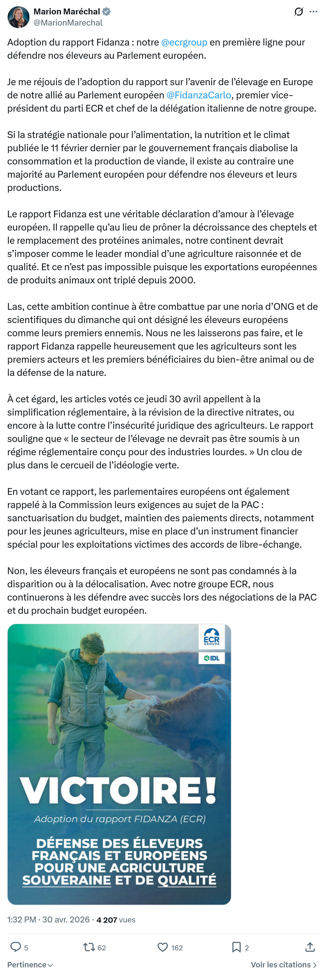 Marion Maréchal- Le Pen: Adoption du rapport Fidanza...