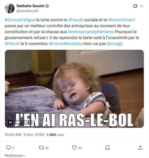Nathalie Goulet: #GrosseFatigue la lutte contre la #fraude...