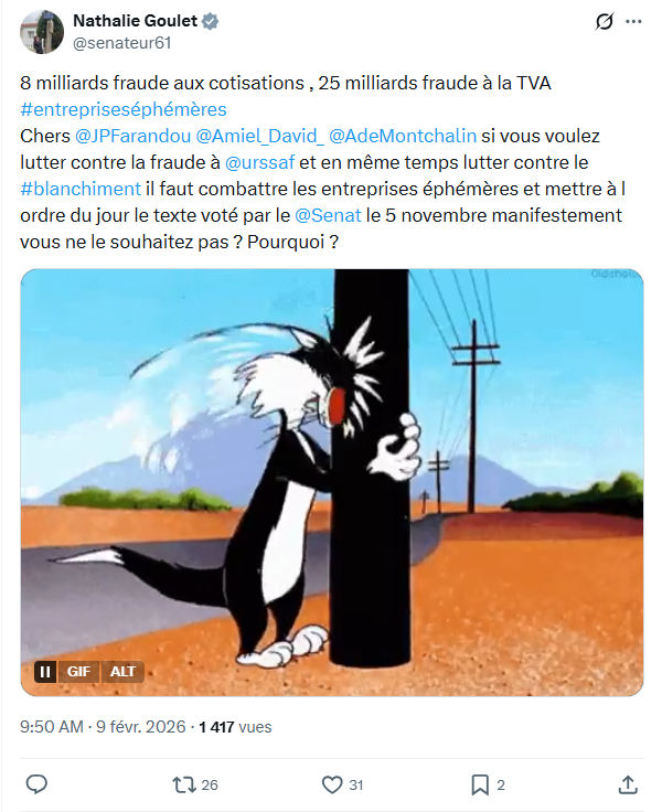 Nathalie Goulet: 8 milliards fraude aux cotisations...
