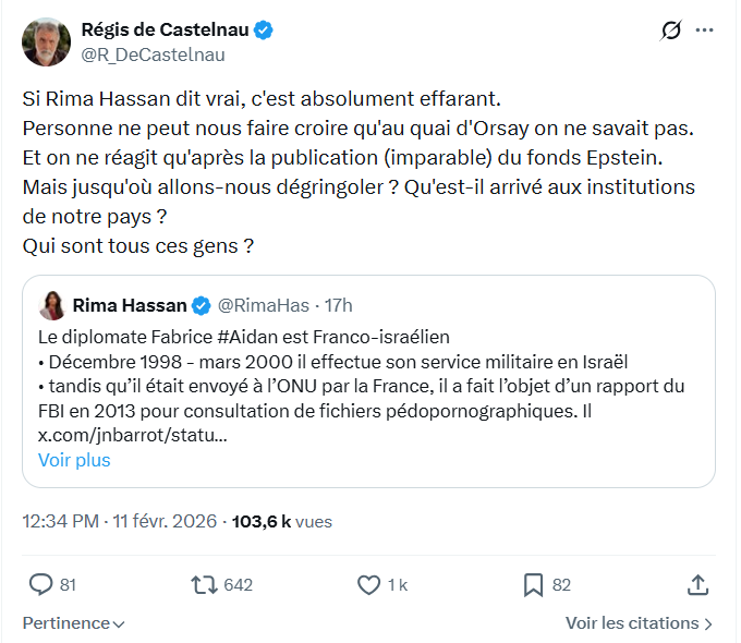 Régis de Castelnau: Si Rima Hassan dit vrai...