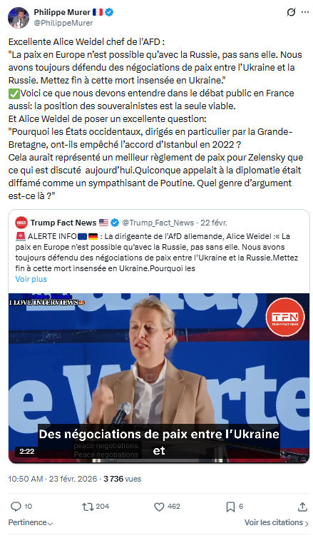 Philippe Murer: Excellente Alice Weidel chef de l'AFD...
