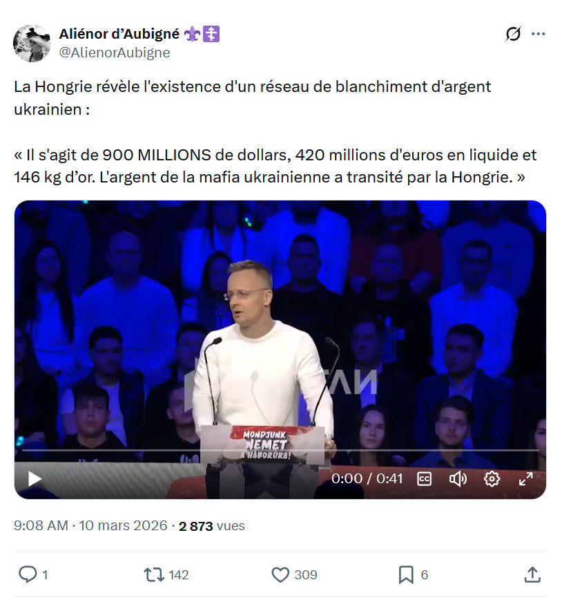 Aliénor d' Aubigné: La Hongrie révèle l'existence d'un réseau de blanchiment...