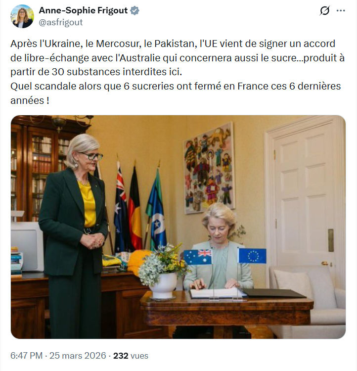 Anne-Sophie Frigout: Après l'Ukraine, le Mercosur…